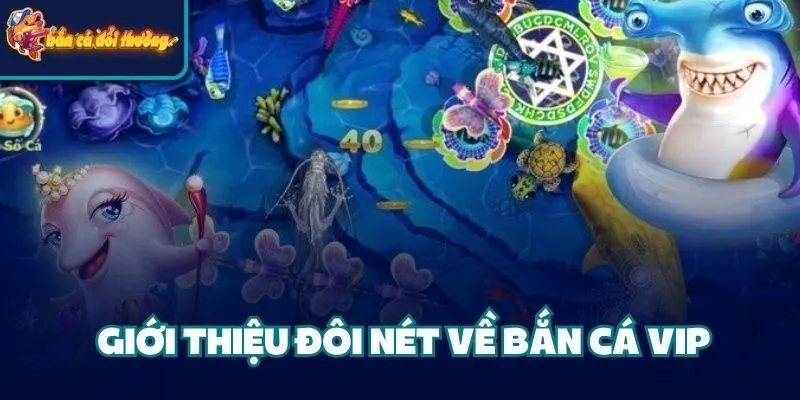 Giới thiệu đôi nét về bắn cá VIP